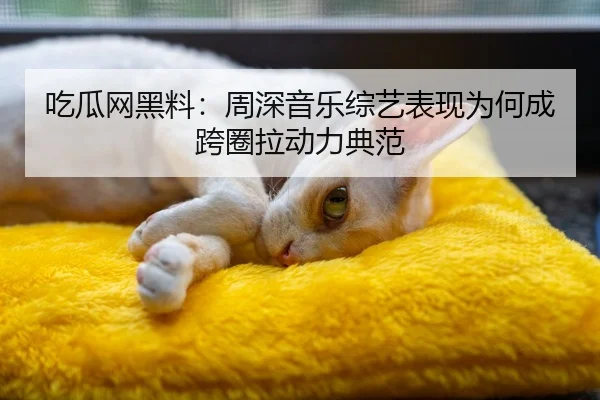 吃瓜网黑料：周深音乐综艺表现为何成跨圈拉动力典范